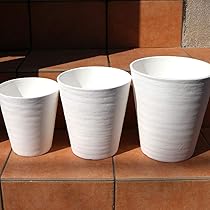 61S+E6X9zjL._AC_UL210_SR210,